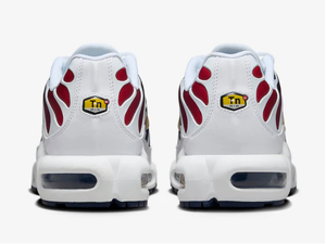 Air Max Plus TN PSG
